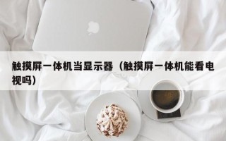 触摸屏一体机当显示器（触摸屏一体机能看电视吗）