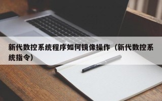 新代数控系统程序如何镜像操作（新代数控系统指令）