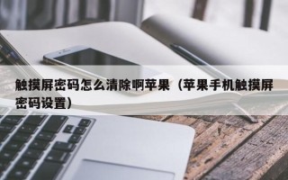 触摸屏密码怎么清除啊苹果（苹果手机触摸屏密码设置）