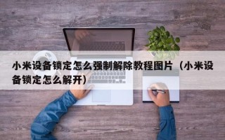 小米设备锁定怎么强制解除教程图片（小米设备锁定怎么解开）