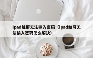 ipad触屏无法输入密码（ipad触屏无法输入密码怎么解决）