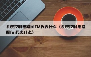 系统控制电路图FM代表什么（系统控制电路图fm代表什么）