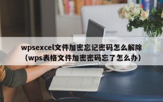 wpsexcel文件加密忘记密码怎么解除（wps表格文件加密密码忘了怎么办）