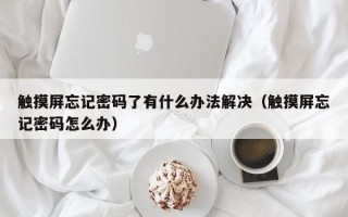 触摸屏忘记密码了有什么办法解决（触摸屏忘记密码怎么办）