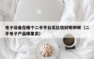 电子设备在哪个二手平台买比较好呢啊呢（二手电子产品哪里卖）