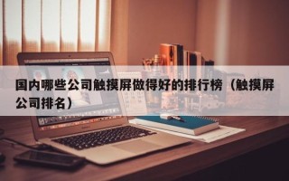 国内哪些公司触摸屏做得好的排行榜（触摸屏公司排名）