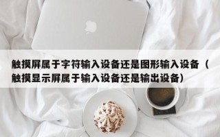 触摸屏属于字符输入设备还是图形输入设备（触摸显示屏属于输入设备还是输出设备）