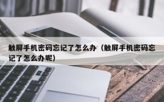 触屏手机密码忘记了怎么办（触屏手机密码忘记了怎么办呢）