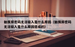 触摸屏密码无法输入是什么原因（触摸屏密码无法输入是什么原因造成的）