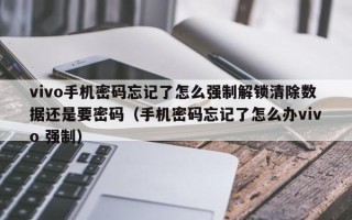 vivo手机密码忘记了怎么强制解锁清除数据还是要密码（手机密码忘记了怎么办vivo 强制）