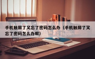 手机触屏了又忘了密码怎么办（手机触屏了又忘了密码怎么办呢）