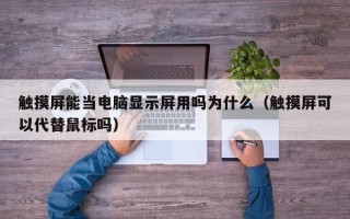 触摸屏能当电脑显示屏用吗为什么（触摸屏可以代替鼠标吗）