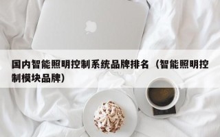 国内智能照明控制系统品牌排名（智能照明控制模块品牌）