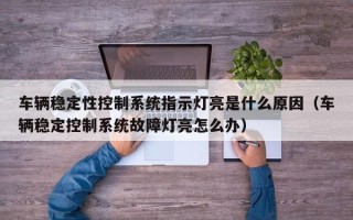 车辆稳定性控制系统指示灯亮是什么原因（车辆稳定控制系统故障灯亮怎么办）