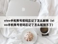 vivo手机账号密码忘记了怎么解锁（vivo手机账号密码忘记了怎么解锁不了）