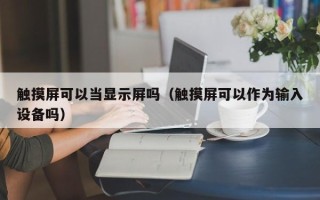 触摸屏可以当显示屏吗（触摸屏可以作为输入设备吗）