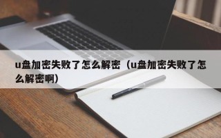 u盘加密失败了怎么解密（u盘加密失败了怎么解密啊）
