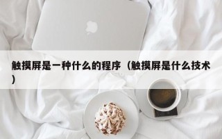 触摸屏是一种什么的程序（触摸屏是什么技术）