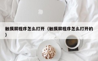 触摸屏程序怎么打开（触摸屏程序怎么打开的）