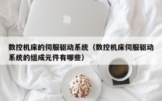 数控机床的伺服驱动系统（数控机床伺服驱动系统的组成元件有哪些）