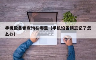 手机设备锁查询在哪里（手机设备锁忘记了怎么办）