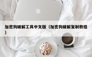 加密狗破解工具中文版（加密狗破解复制教程）