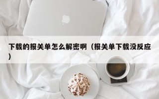 下载的报关单怎么解密啊（报关单下载没反应）