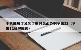 手机触屏了又忘了密码怎么办啊苹果12（苹果12触屏解锁）