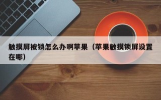 触摸屏被锁怎么办啊苹果（苹果触摸锁屏设置在哪）