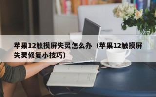 苹果12触摸屏失灵怎么办（苹果12触摸屏失灵修复小技巧）