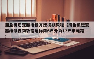 捕鱼机逆变器维修方法视频教程（捕鱼机逆变器维修视频教程这样用6户升为12户带电路）
