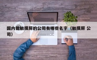 国内做触摸屏的公司有哪些名字（触摸屏 公司）