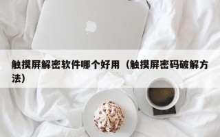 触摸屏解密软件哪个好用（触摸屏密码破解方法）