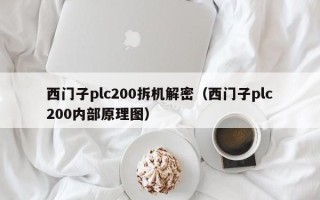 西门子plc200拆机解密（西门子plc200内部原理图）