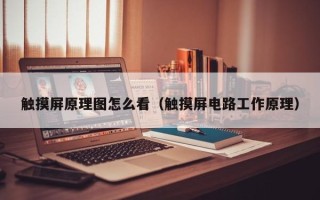 触摸屏原理图怎么看（触摸屏电路工作原理）