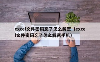 excel文件密码忘了怎么解密（excel文件密码忘了怎么解密手机）