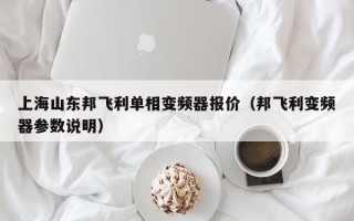 上海山东邦飞利单相变频器报价（邦飞利变频器参数说明）