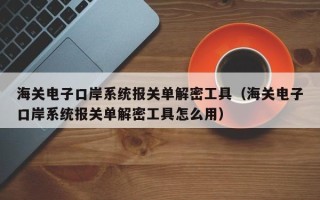 海关电子口岸系统报关单解密工具（海关电子口岸系统报关单解密工具怎么用）