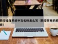 数控操作系统中文名称怎么写（数控常用的系统）