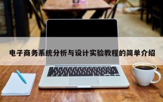 电子商务系统分析与设计实验教程的简单介绍