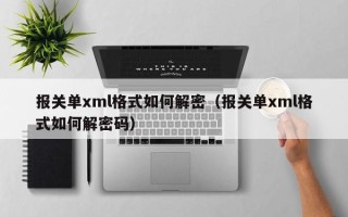 报关单xml格式如何解密（报关单xml格式如何解密码）