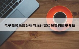 电子商务系统分析与设计实验报告的简单介绍