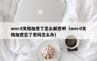 word文档加密了怎么解密啊（word文档加密忘了密码怎么办）