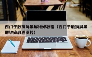 西门子触摸屏黑屏维修教程（西门子触摸屏黑屏维修教程图片）