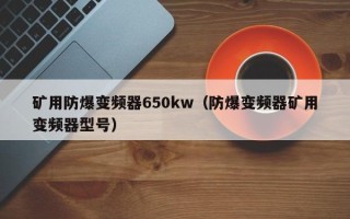 矿用防爆变频器650kw（防爆变频器矿用变频器型号）