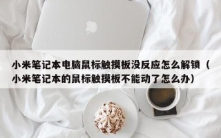 小米笔记本电脑鼠标触摸板没反应怎么解锁（小米笔记本的鼠标触摸板不能动了怎么办）