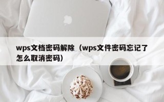 wps文档密码解除（wps文件密码忘记了怎么取消密码）