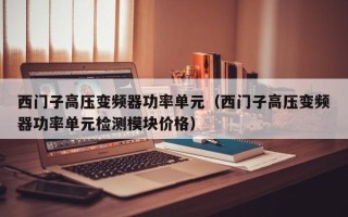 西门子高压变频器功率单元（西门子高压变频器功率单元检测模块价格）