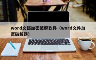 word文档加密破解软件（word文件加密破解器）