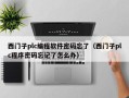 西门子plc编程软件密码忘了（西门子plc程序密码忘记了怎么办）